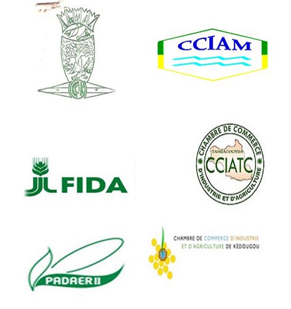 PIMA